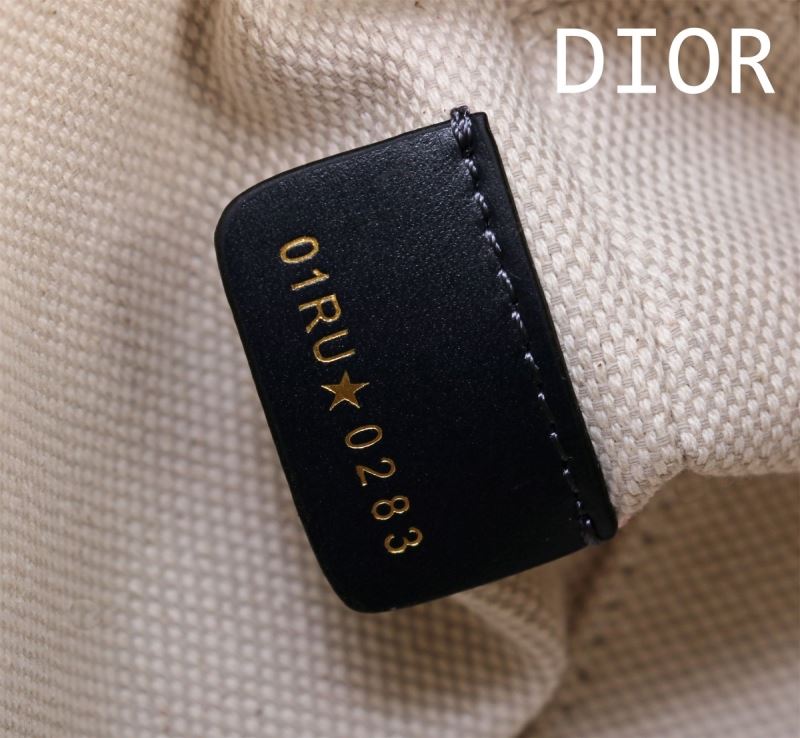 chr1st1an D10r boston bags